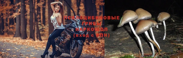 наркотики Мегион