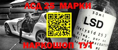 индика Заводоуковск
