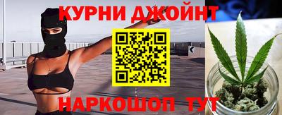 индика Заводоуковск