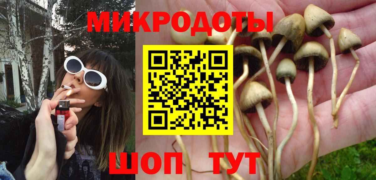 Псилоцибиновые грибы GOLDEN TEACHER  Псилоцибиновые грибы Psilocybe  дарнет шоп  Каменск-Уральский  Вход с VPN 